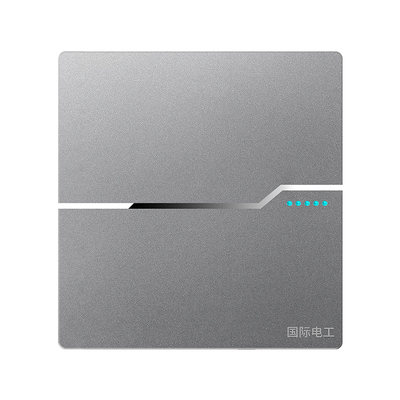 国际电工10A灰色86型15年以上