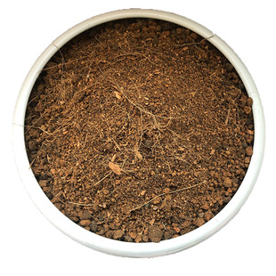 大叶伞专用土盆栽酸性沙质泥炭红土壤日本大叶伞土绿植种植土肥料