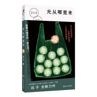 光从哪里来 远子著艺文志重光上海文艺出版社短篇小说集中国县乡家庭教育工作爱情文学问题城市间漂泊青年人困境