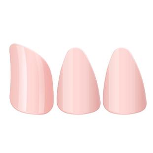 琵琶指甲专业演奏考级赛璐璐儿童成人弹琵琶专用指甲尼龙送胶布