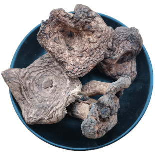 野生黑虎掌菌干货小片实惠50克云南丽江土特产蘑菇煲汤香野味十足