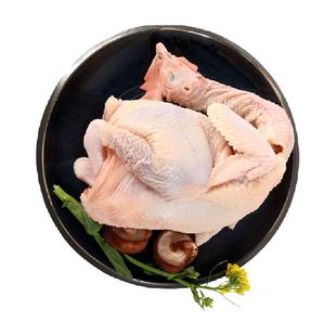 天农清远童子鸡慢养90天农家走地土鸡走地鸡小母鸡生鲜供港品质