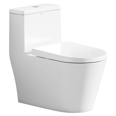 箭牌佛山双漩冲陶瓷坐便器