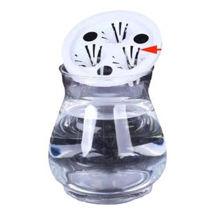 水培观音竹富贵竹竹子专用三孔夹子种植篮透明塑料水培花瓶