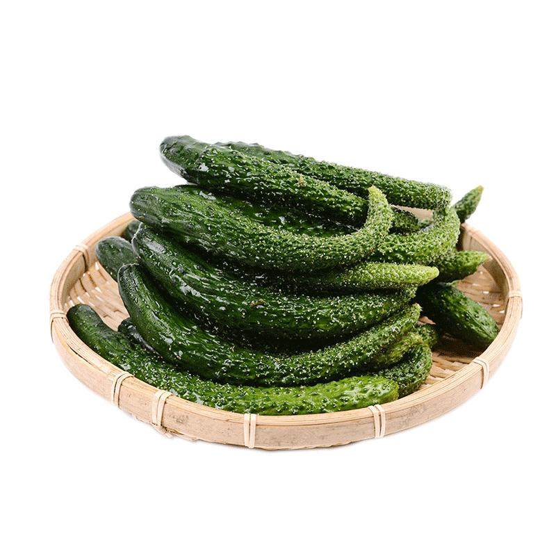 现摘新鲜黄瓜扭腌制专用小黄瓜