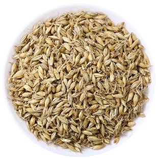 麦芽中药材500g生麦芽回奶大麦芽可选炒熟谷芽麦芽泡水正品炒麦芽