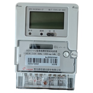 青岛鼎信DDZY1710-Z型 220V 5/60A 高精度单向电能表 家用出租屋