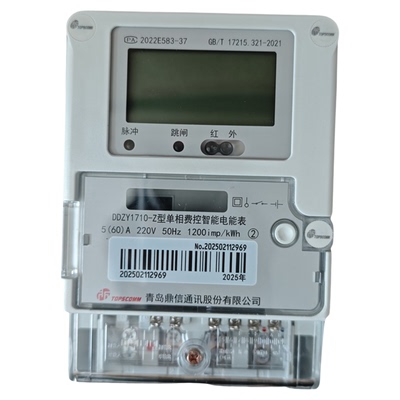 青岛鼎信高精度单向电能表出租屋