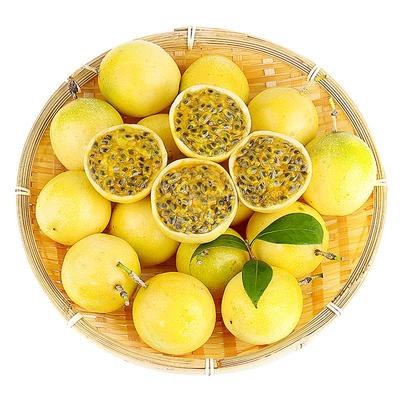 钦蜜9号黄金百香果果园现摘现发
