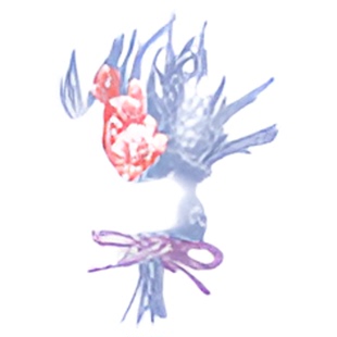 [空白印章]TAIYOPINE泰洋合璧堂高细多彩浸透DIY自由上色精细自填