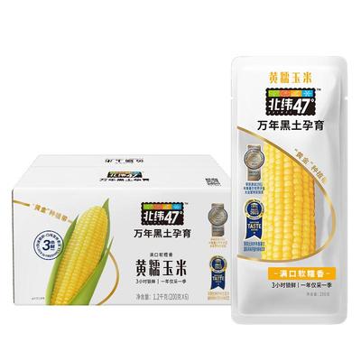 北纬47软糯香甜试吃装