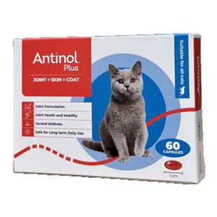 新西兰本土Antinol安适得加强版524猫咪犬狗青口关节eab277安他诺