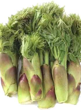 东北保鲜750克3袋包邮山野菜