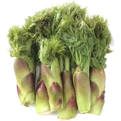 东北保鲜750克3袋包邮山野菜