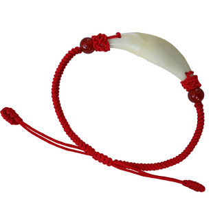 真狗牙手链狗牙挂件真狗牙齿情侣款真狗牙齿