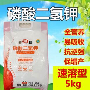 10斤装99.2%宏福速溶型磷酸二氢钾保花保果小麦大蒜瓜果蔬菜通用