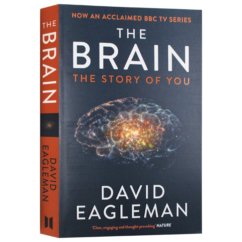 The Brain The Story of You 英文原版 大脑的故事深入大脑 大卫伊格曼 英文版 进口原版英语书籍