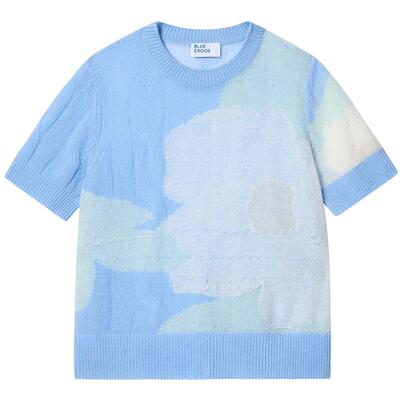 【空气羊绒】BLUE ERDOS26早春新品羊毛羊绒混纺冰蓝提花半袖套衫