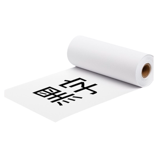【印先森M04AH/M04S/M04AS/Y04S官方打印纸】4寸错题打印机专用打印纸不干胶高清贴纸高清纸三防热敏纸