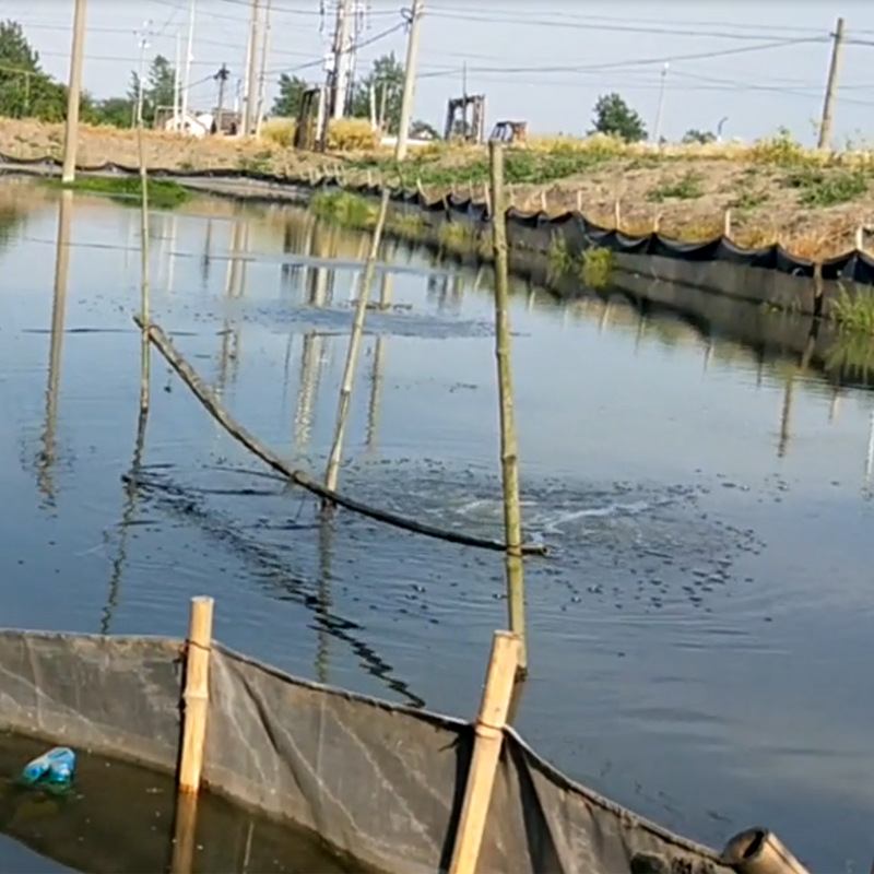 渔业养殖增氧泵20亩池塘全套微孔增氧机鱼塘底部曝气桂鱼泥鳅龙虾
