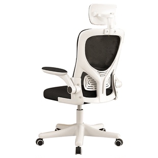 电脑椅家用人体工学椅升降大学生椅子耐用办公椅子舒适久坐电竞椅