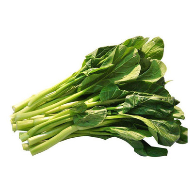 四季蔬菜四季菜种籽大全