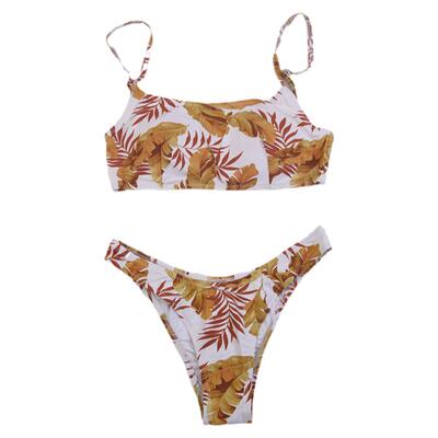 澳洲品牌沙滩冲浪比基尼小胸聚拢