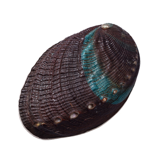 手工包纯银茶则999高端鲍鱼贝茶则茶荷禅意茶勺茶拨功夫茶具零配