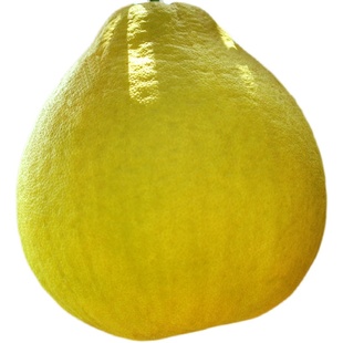 长寿沙田柚纯甜不酸越放越甜新鲜水果柚子