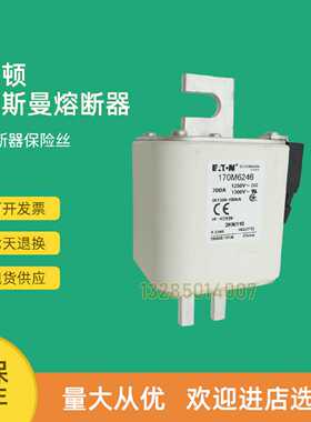 议价全新快速熔断器保险170M6597 170M6598 170M6599 170M6600