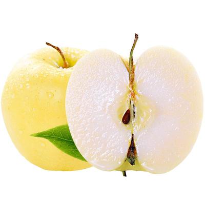 可刮泥吃的黄元帅苹果！粉糯香甜