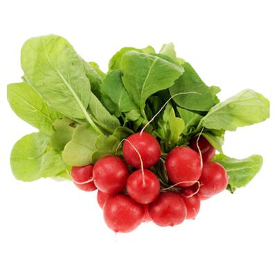 四季庭院种菜口感脆甜樱桃萝卜