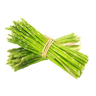 四季盆栽阳台特级特大食用绿芦笋根苗种籽蔬菜种子种苗孑春秋种植