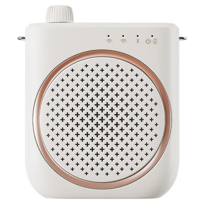 【无线领夹式双麦】大功率大音量