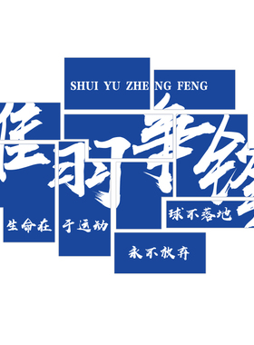 博尼亚羽毛球立体墙贴