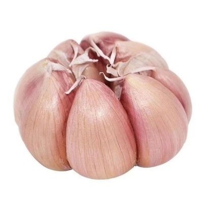 农家干大蒜干蒜5斤9斤蔬菜
