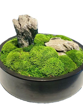 朗怡绿植盆景手工制作源头直销