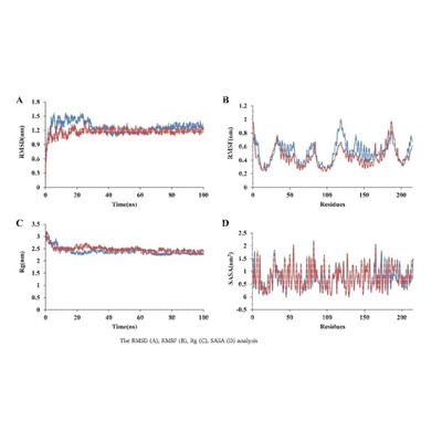 蛋白蛋白互作PPI,活性位点预测,动力学模拟,活性位点能量分析