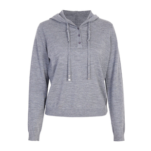 婉甸2025年秋季新品百搭抽绳针织衫宽松显瘦连帽套头衫1243W06GL2