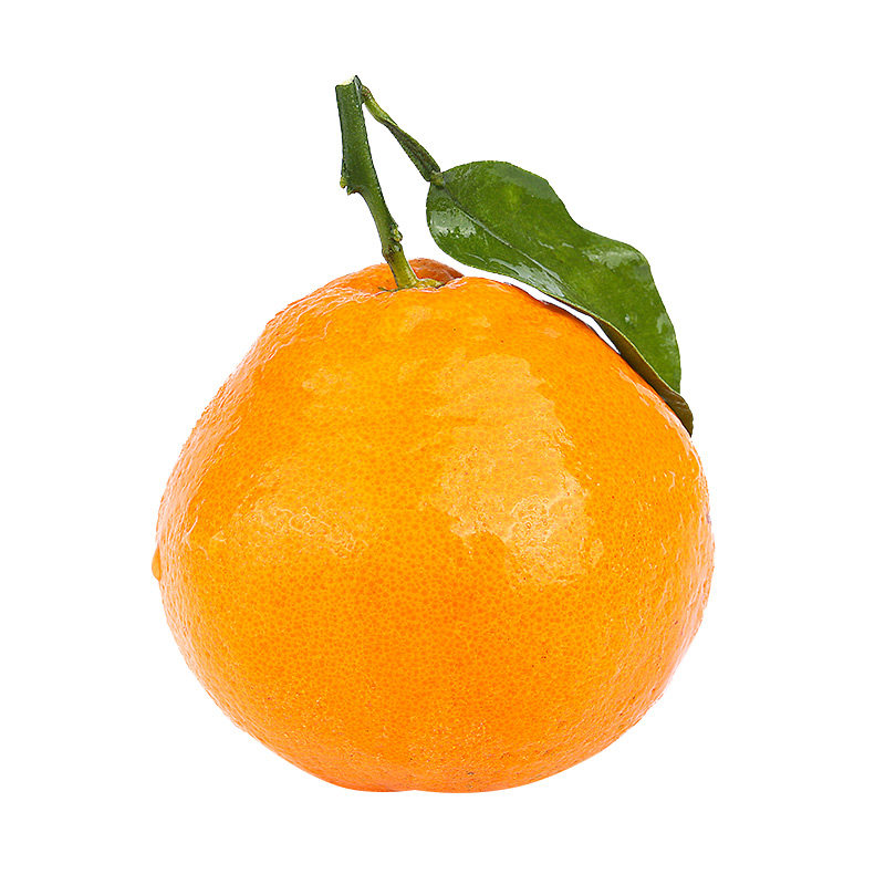 四川春见耙耙粑粑柑橘子新鲜水果当季整箱正宗杷杷柑桔子10斤包邮