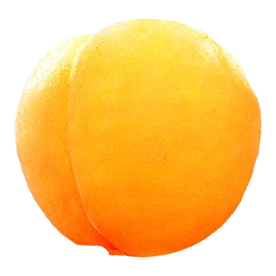 当年结果黄桃树苗包成活包结大果