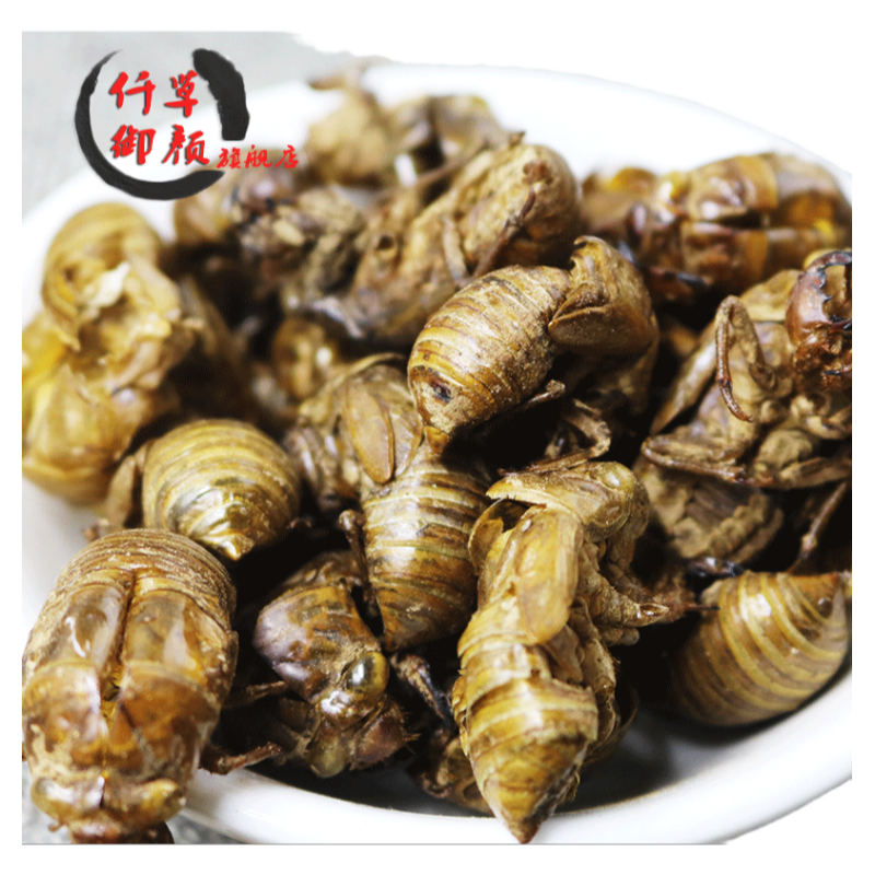 蝉蜕知了皮中药材包邮毛猴原料