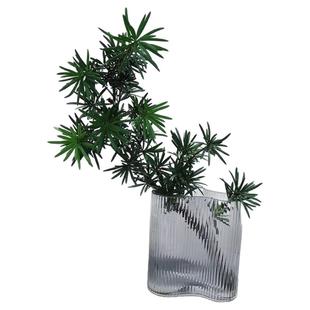 insfeng罗汉松鲜切枝室内北欧绿植装饰客厅高颜值水培创意办公室