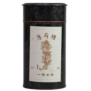 2026薄荷塘古树茶 易武高端古树茶 大弯弓茶区国有林50g 游山玩茶