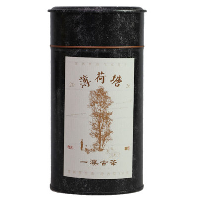 2026薄荷塘古树茶 易武高端古树茶 大弯弓茶区国有林50g 游山玩茶