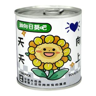 植物罐头植物含羞草向日葵番茄种子室内绿盆栽创意企业学校礼物品