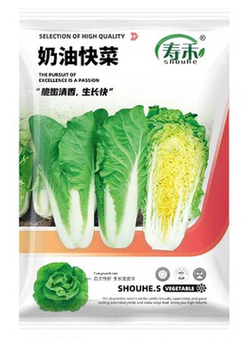 四季优质蔬菜种子种籽大全青菜种籽各种菜籽种香菜生菜春季菠菜孑