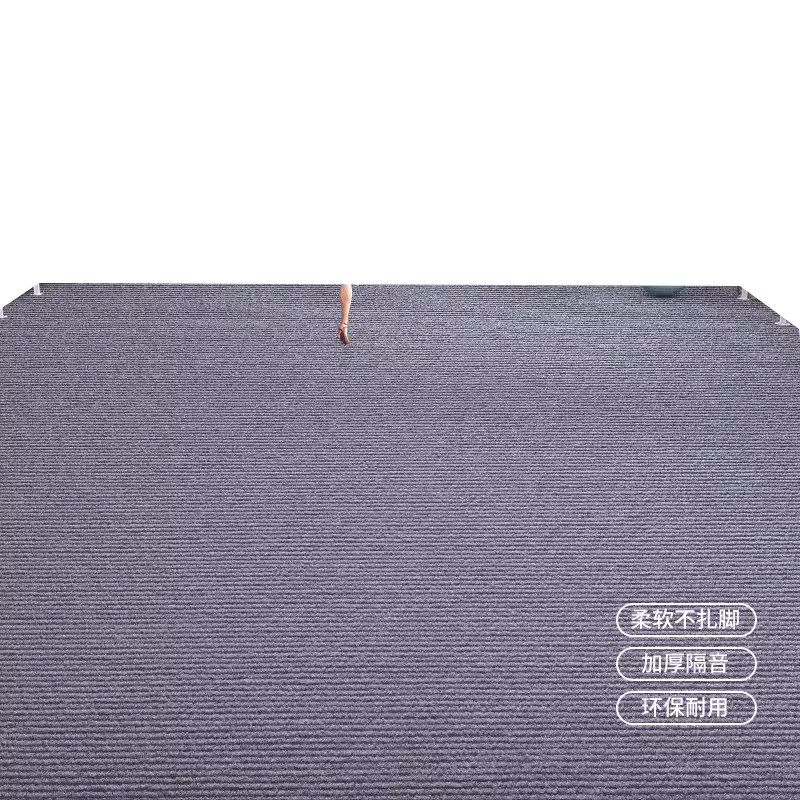 舞蹈教室练功房地垫专业隔音地毯运动防滑吸音大面积全铺免打理