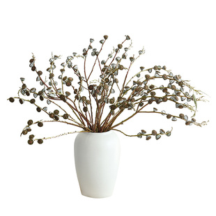 尤加利果干花花束客厅摆设天然风干真花干果树枝花瓶插花文艺装饰