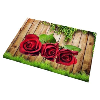 进门地垫玄关可裁剪地毯家用